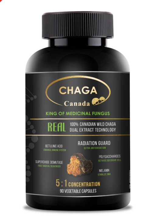 Real House Canada - Chaga capsules Canadian Wild Chaga