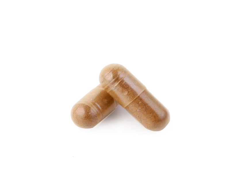 Real House Canada - Chaga capsules Canadian Wild Chaga